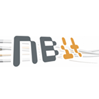 Nbit (Logo)